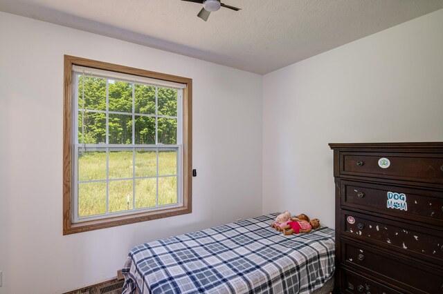 303 Westwood Rd NW, Alden, MI 49612 - photo 31