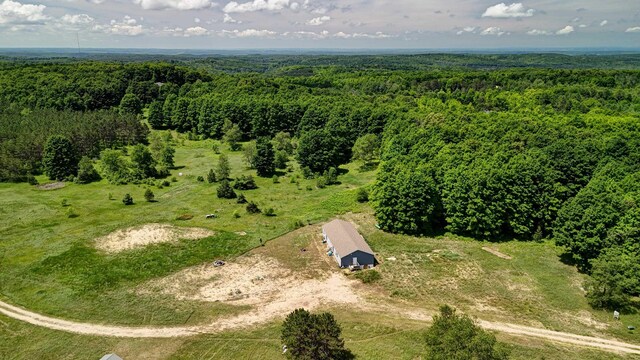 303 Westwood Rd NW, Alden, MI 49612 - photo 52