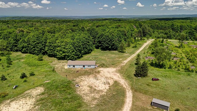 303 Westwood Rd NW, Alden, MI 49612 - photo 53