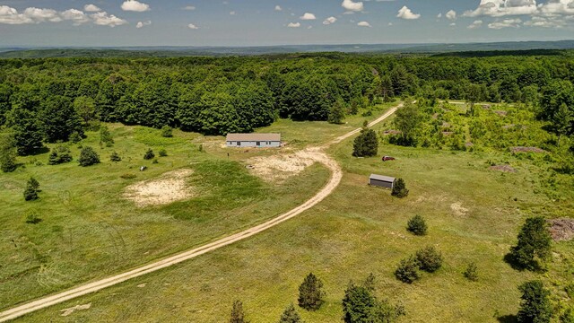 303 Westwood Rd NW, Alden, MI 49612 - photo 54