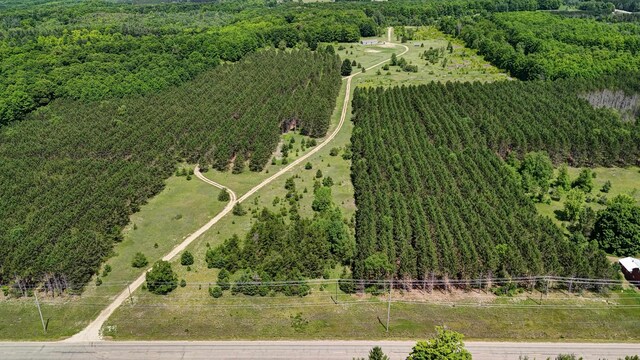 303 Westwood Rd NW, Alden, MI 49612 - photo 62