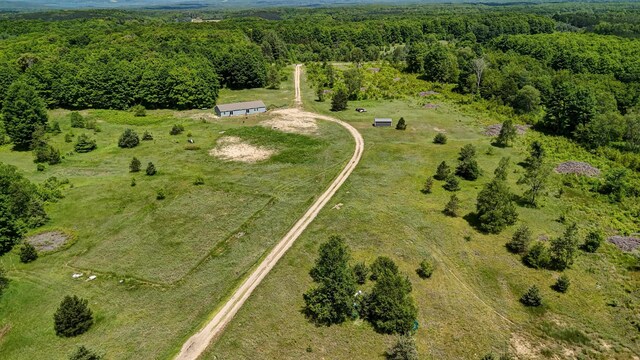 303 Westwood Rd NW, Alden, MI 49612 - photo 64