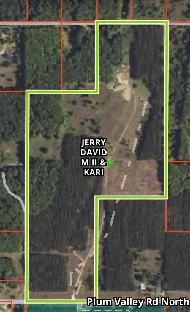 303 Westwood Rd NW, Alden, MI 49612 - photo 65