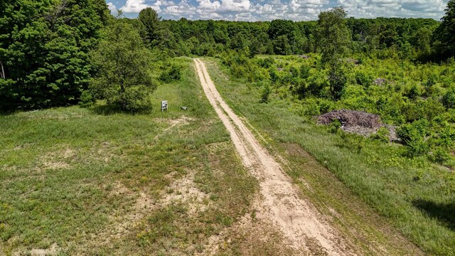 303 Westwood Rd NW, Alden, MI 49612 - photo 12