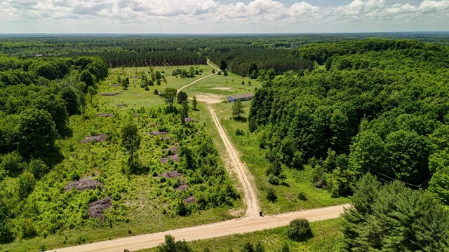 303 Westwood Rd NW, Alden, MI 49612 - photo 50