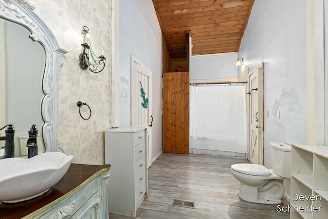 65 Sundago Park St, Hastings, MI 49058 - full bath with vanity, lofted ceiling, wood ceiling, wood finished floors, and a shower with shower curtain