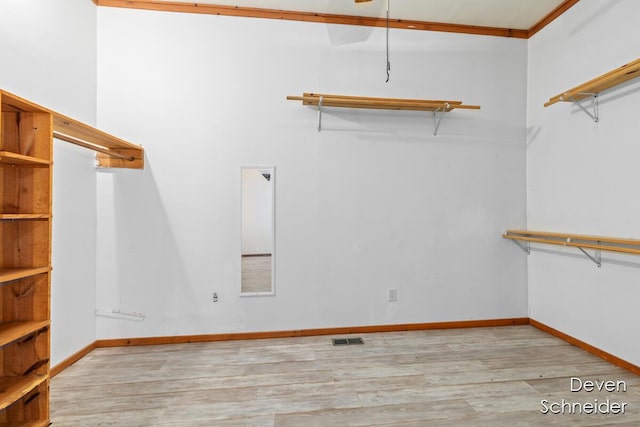 65 Sundago Park St, Hastings, MI 49058 - spacious closet with wood finished floors