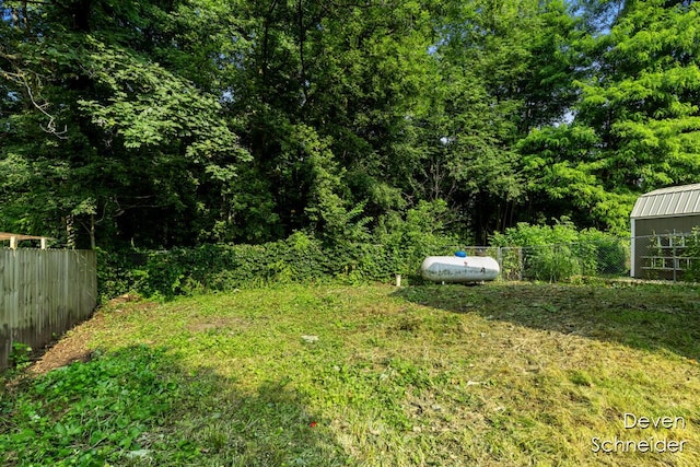 65 Sundago Park St, Hastings, MI 49058 - view of yard
