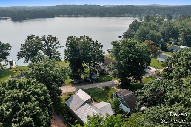 65 Sundago Park St, Hastings, MI 49058 - drone / aerial view of a large body of water and a heavily wooded area