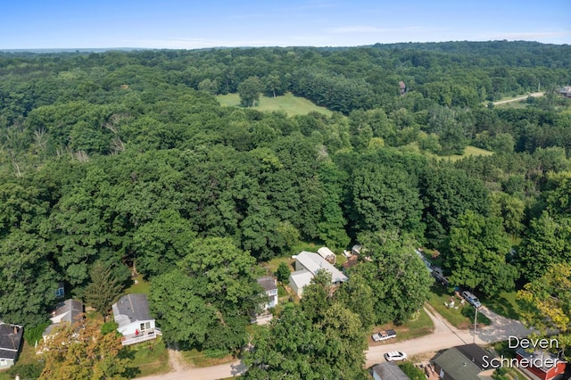 65 Sundago Park St, Hastings, MI 49058 - aerial overview of property's location with a heavily wooded area
