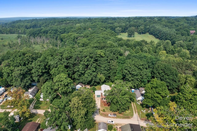 65 Sundago Park St, Hastings, MI 49058 - aerial view of property and surrounding area featuring a heavily wooded area