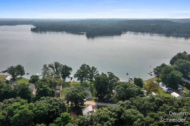 65 Sundago Park St, Hastings, MI 49058 - drone / aerial view of a nearby body of water and a forest