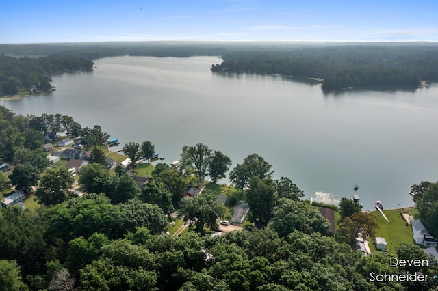 65 Sundago Park St, Hastings, MI 49058 - bird's eye view of a large body of water