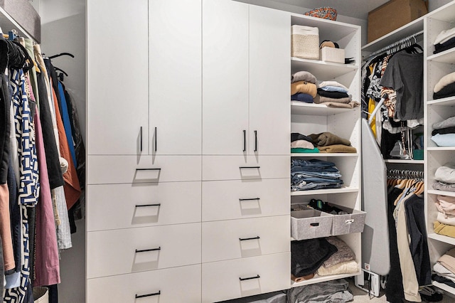 1014 Castlebay Way Unit 8, Hudsonville, MI 49426 - view of walk in closet