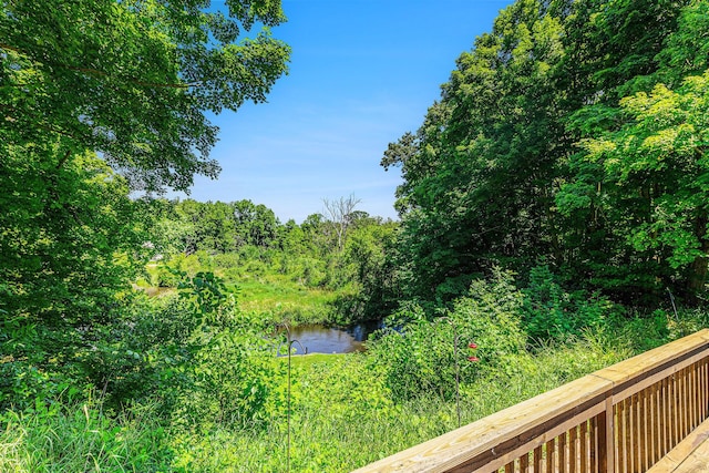 53279 Bent Rd, Marcellus, MI 49067 - photo 23