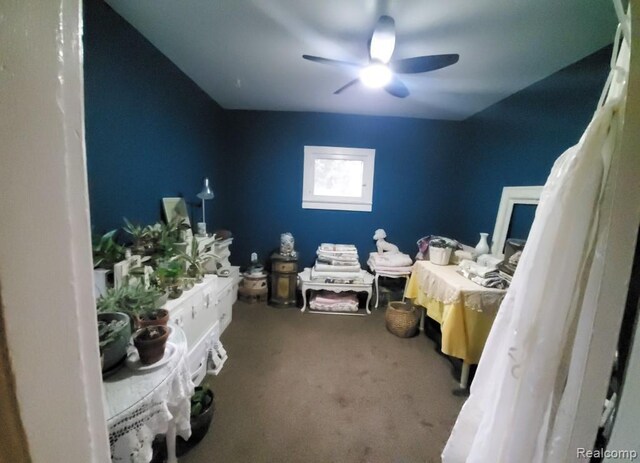 327 Reid Rd, Grand Blanc, MI 48439 - photo 29