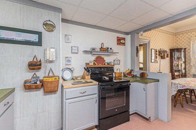449 4th St, Manistee, MI 49660 - kitchen with black range with electric stovetop, light colored carpet, a drop ceiling, and open shelves