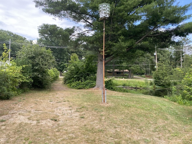 2031 E Oak St, Newaygo, MI 49337 - view of grassy yard