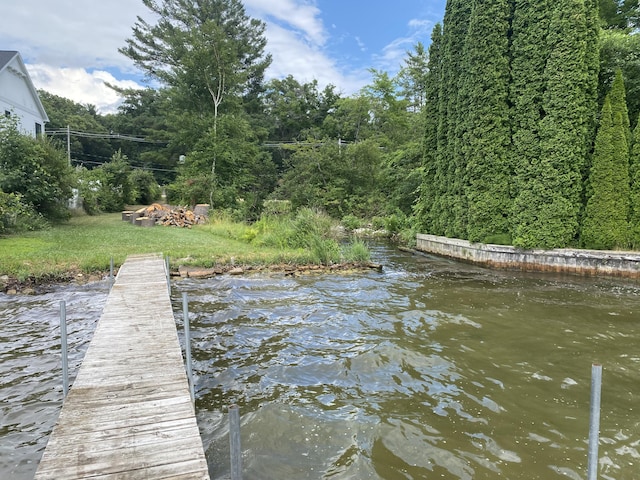 2031 E Oak St, Newaygo, MI 49337 - view of dock