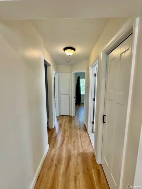 21011 Sunnydale St, Warren, MI 48081 - photo 11