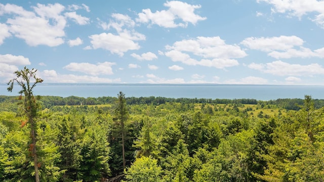 5810 Westward, Harbor Springs, MI 49740