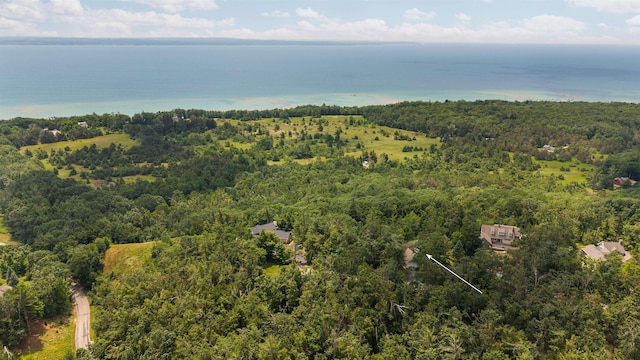5810 Westward, Harbor Springs, MI 49740