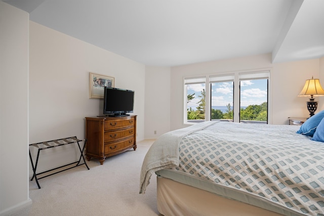 5810 Westward, Harbor Springs, MI 49740