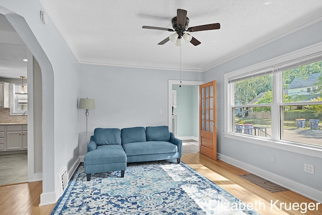 1215 Emerald Ave NE, Grand Rapids, MI 49505 - living area featuring arched walkways, a ceiling fan, healthy amount of natural light, light wood finished floors, and a textured ceiling