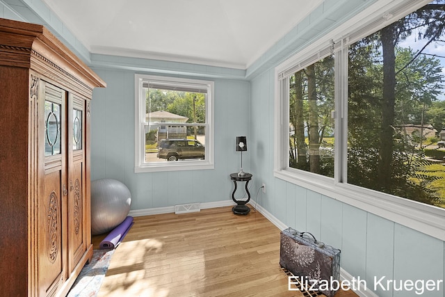 1215 Emerald Ave NE, Grand Rapids, MI 49505 - workout area with light wood-style flooring