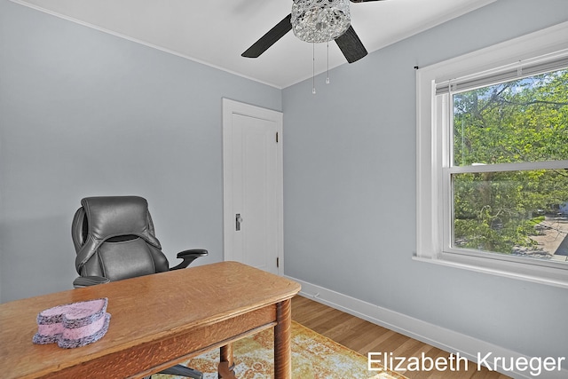 1215 Emerald Ave NE, Grand Rapids, MI 49505 - office space featuring a ceiling fan, wood finished floors, and ornamental molding