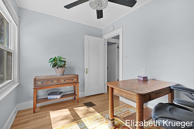 1215 Emerald Ave NE, Grand Rapids, MI 49505 - office space featuring light wood-type flooring and a ceiling fan