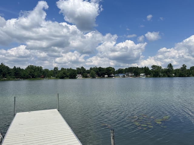 3491 Holland Lake Rd, Sheridan, MI 48884 - photo 6