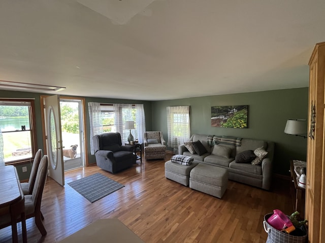 3491 Holland Lake Rd, Sheridan, MI 48884 - photo 13