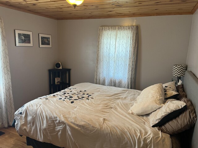 3491 Holland Lake Rd, Sheridan, MI 48884 - photo 16