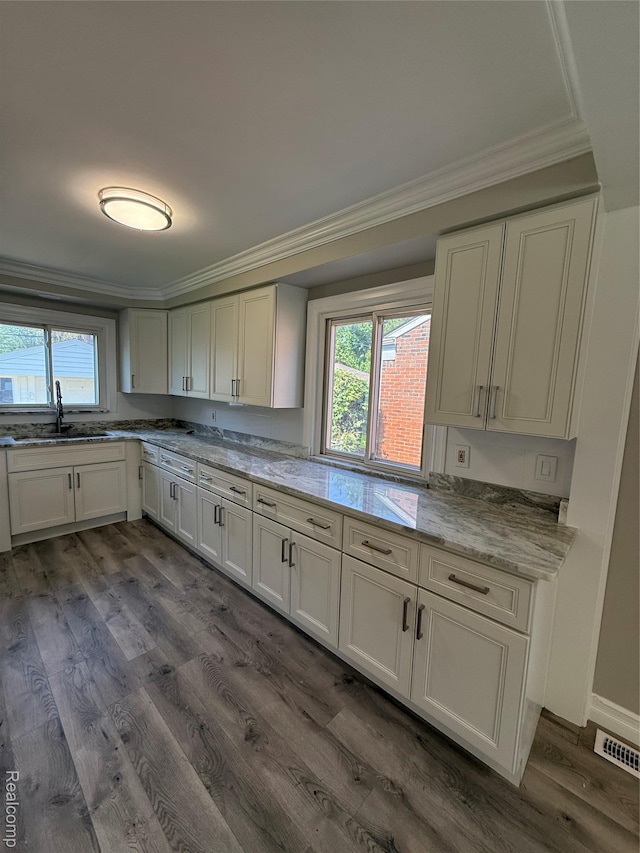 19612 Gaukler St, Saint Clair Shores, MI 48080 - kitchen featuring ornamental molding, healthy amount of natural light, dark wood-type flooring, white cabinets, and light stone counters