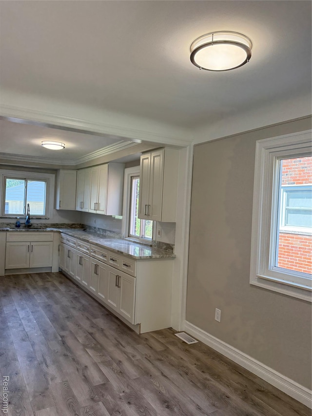 19612 Gaukler St, Saint Clair Shores, MI 48080 - kitchen featuring dark wood-style floors, plenty of natural light, ornamental molding, and white cabinetry