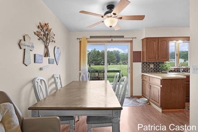 4707 Cannonsburg Rd NE, Belmont, MI 49306 - dining space featuring light wood finished floors and ceiling fan