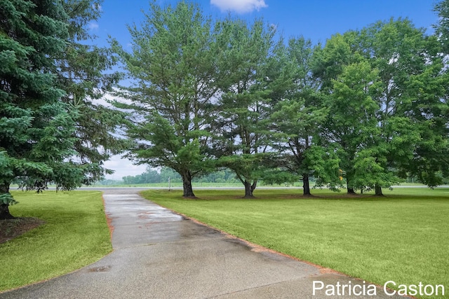 4707 Cannonsburg Rd NE, Belmont, MI 49306 - view of home's community with a lawn