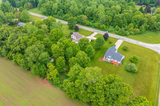 55042 W End Rd, Three Rivers, MI 49093 - photo 49