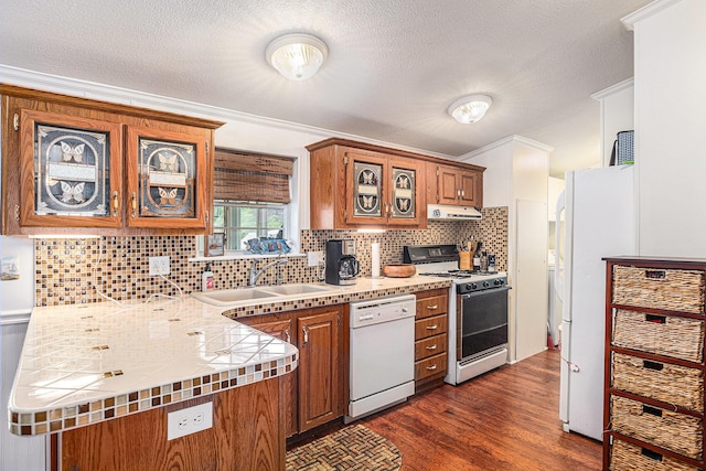 432 Spaulding Dr, Coldwater, MI 49036 - kitchen with white appliances, brown cabinets, under cabinet range hood, dark wood finished floors, and ornamental molding