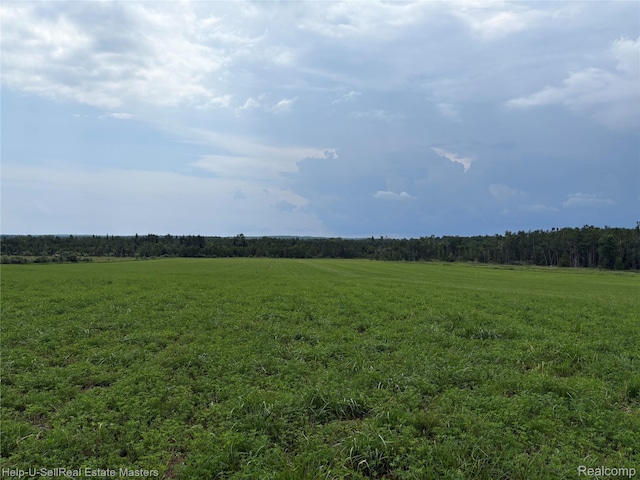300 W Hubert Rd, Spruce, MI 48762 - view of undeveloped land with rural landscape