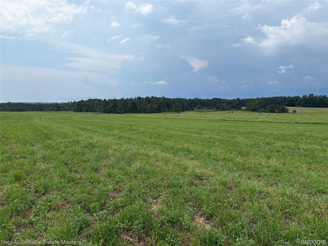 300 W Hubert Rd, Spruce, MI 48762 - view of undeveloped land featuring rural landscape