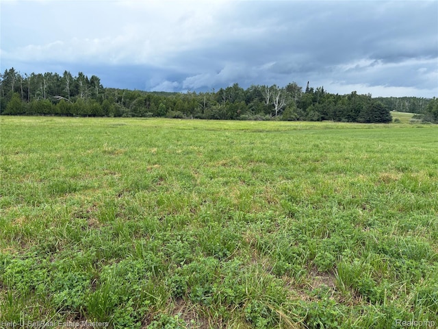 300 W Hubert Rd, Spruce, MI 48762 - view of tree filled area featuring a view of countryside