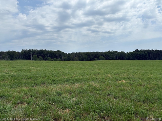 300 W Hubert Rd, Spruce, MI 48762 - view of woods with a view of countryside