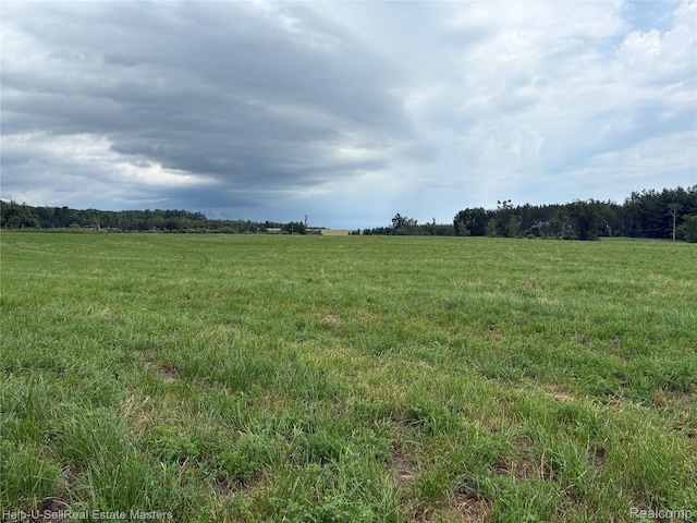 300 W Hubert Rd, Spruce, MI 48762 - view of undeveloped land featuring rural landscape