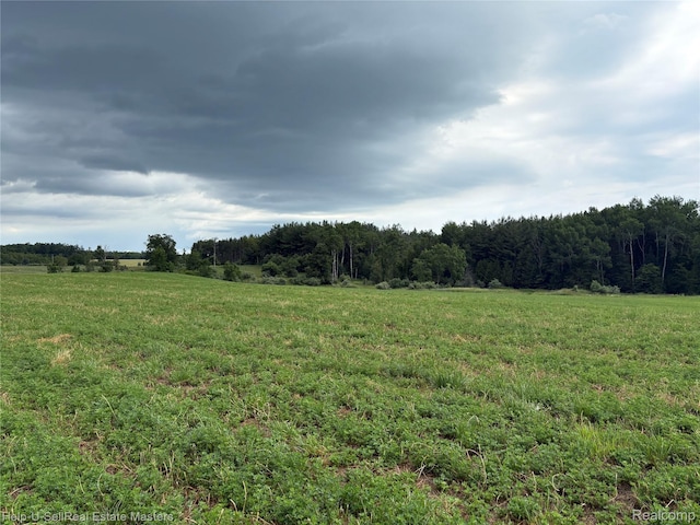300 W Hubert Rd, Spruce, MI 48762 - view of wooded area with a view of rural / pastoral area