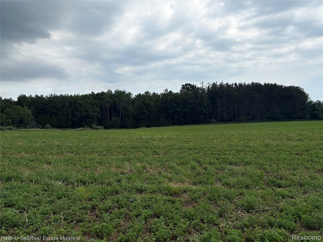 300 W Hubert Rd, Spruce, MI 48762 - view of woods with a view of rural / pastoral area