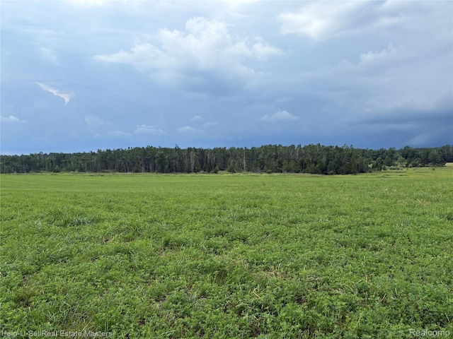 300 W Hubert Rd, Spruce, MI 48762 - view of woods with a rural view