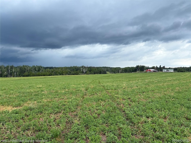 300 W Hubert Rd, Spruce, MI 48762 - view of green lawn featuring a view of rural / pastoral area