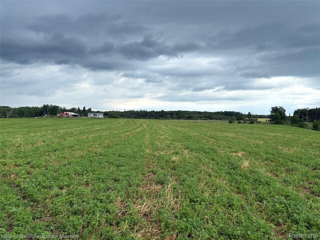 300 W Hubert Rd, Spruce, MI 48762 - view of yard with a view of countryside